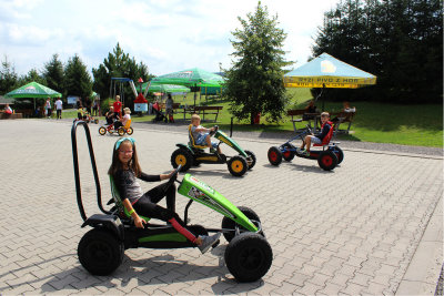 PINGUin park